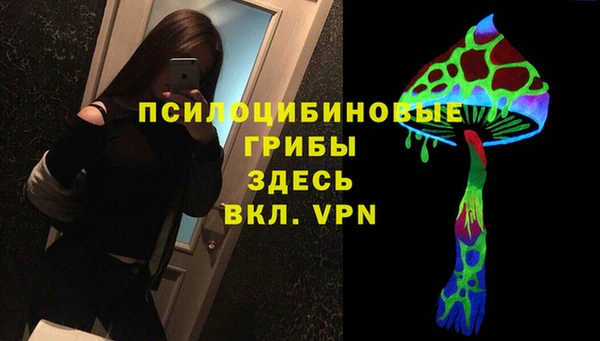 спайс Алексеевка