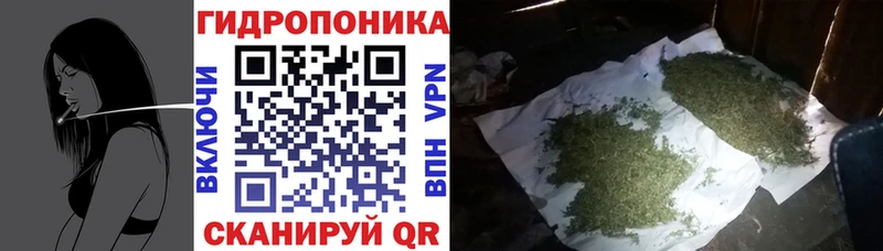 Шишки марихуана марихуана  закладки  Ликино-Дулёво 